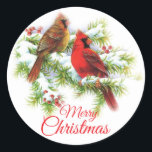 Merry Christmas Cardinal Birds In Tree Classic Round Sticker<br><div class="desc">Merry Christmas Cardinal Birds In Tree Classic Round Sticker.</div>