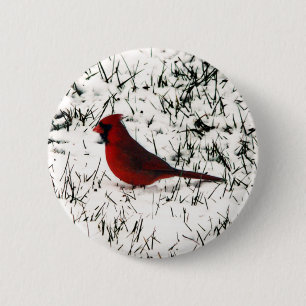 Merry Christmas Cardinal  Button
