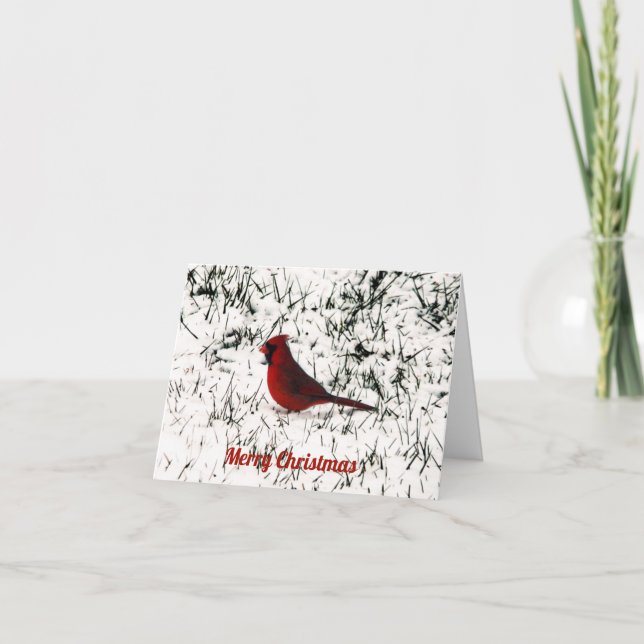 Merry Christmas Cardinal Card (Front)
