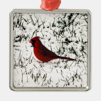 Merry Christmas Cardinal Metal Ornament