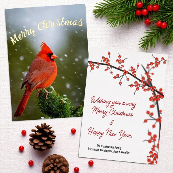 Merry Christmas Cardinal On Evergreen In Snow