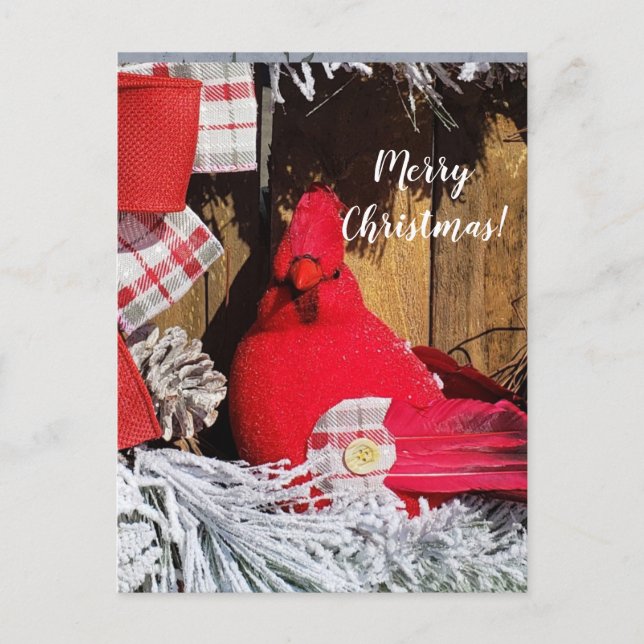 Merry Christmas Cardinal Postcard (Front)