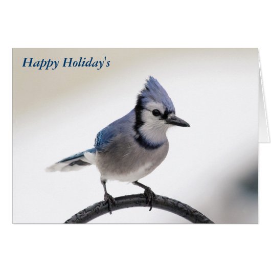 Merry Christmas Cards (Front Horizontal)