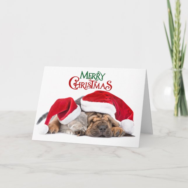 Merry Christmas cat and dog Holiday Card (Front)