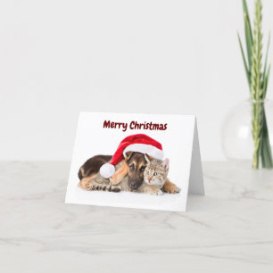 Merry Christmas Cat and Dog holiday card