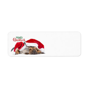 Merry Christmas cat and dog Label