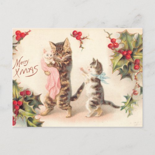 Merry Christmas Cat and Kittens Holly Vintage  Postcard