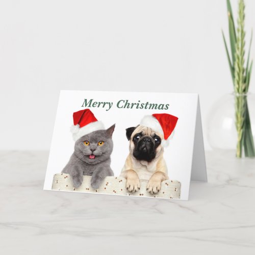 Merry Christmas Cat and Pug dog Holiday Card