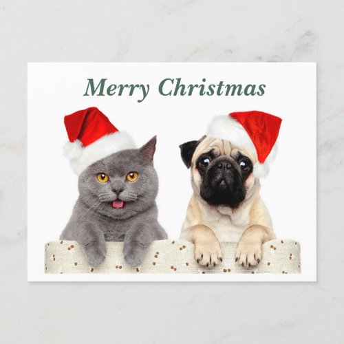 Merry Christmas Cat and Pug dog Holiday Postcard