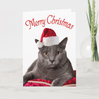 Merry Christmas, Cat Christmas Card
