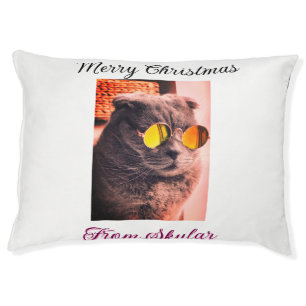 Merry Christmas cat dog pet animal love photo Bed