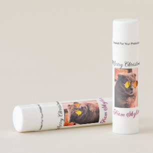 Merry Christmas cat dog pet animal love photo Lip Balm