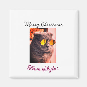 Merry Christmas cat dog pet animal love photo Magnet