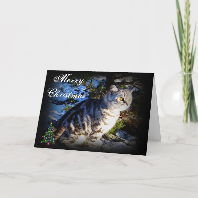 Merry Christmas - Cat greeting card (Front)
