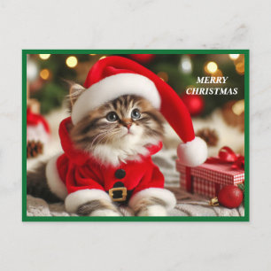 Merry Christmas Cat Holiday Postcard