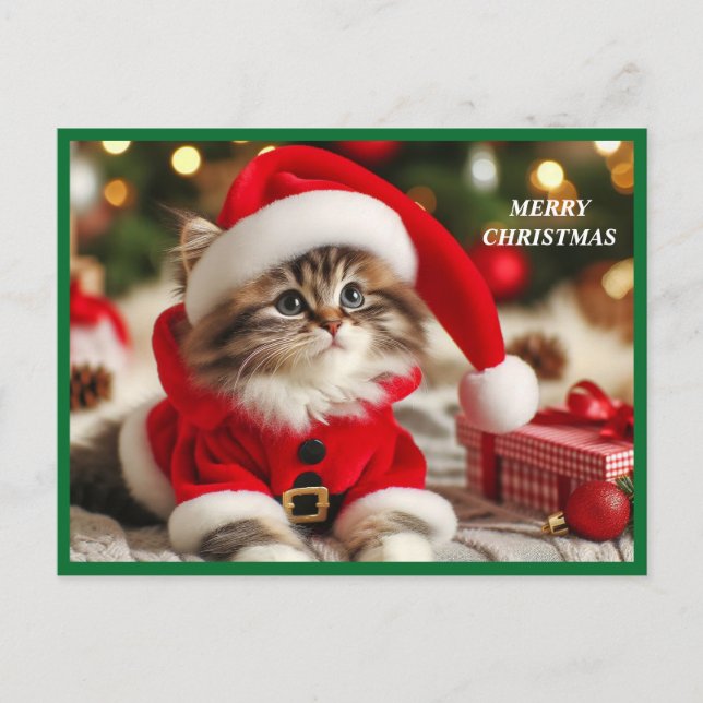 Merry Christmas Cat Holiday Postcard (Front)