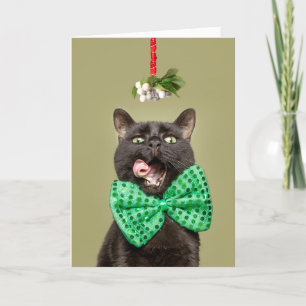 Merry Christmas Cat in Bow Tie Under Mistletoe Holiday Card