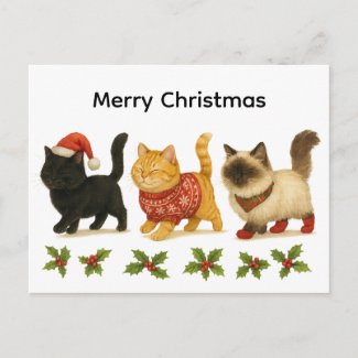 Merry Christmas Cat Lover / Cute Cats