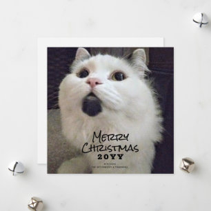 Merry Christmas Cat Pet Photo  Holiday Card