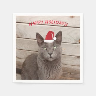 Merry Christmas Cat Photo
