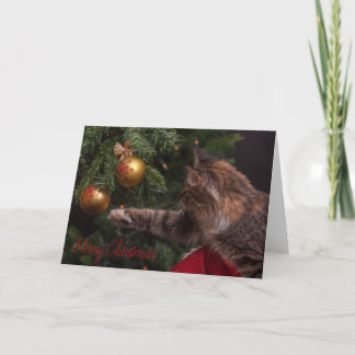 Merry Christmas Cat Tree Card - BLANK INSIDE