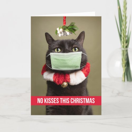 Merry Christmas Cat Under Mistletoe in Face Mask Holiday Card