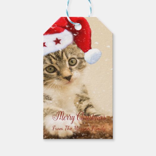 Merry ChristmasCat With Santa Hat Gift Tags