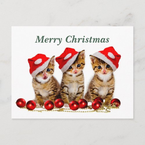 Merry Christmas Cats Postcard