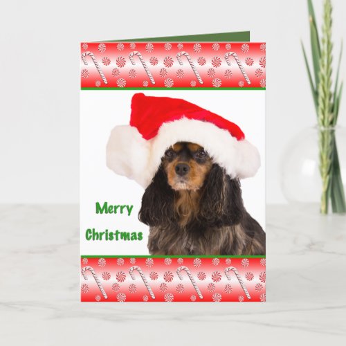 Merry Christmas Cavalier King Charles Card