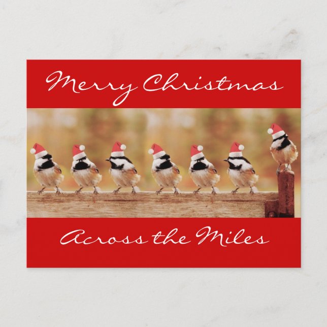 Merry Christmas Chickadees Postcard (Front)