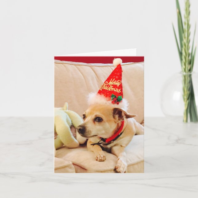 Merry Christmas Chihuahua Cutie 4Sadie Card (Front)