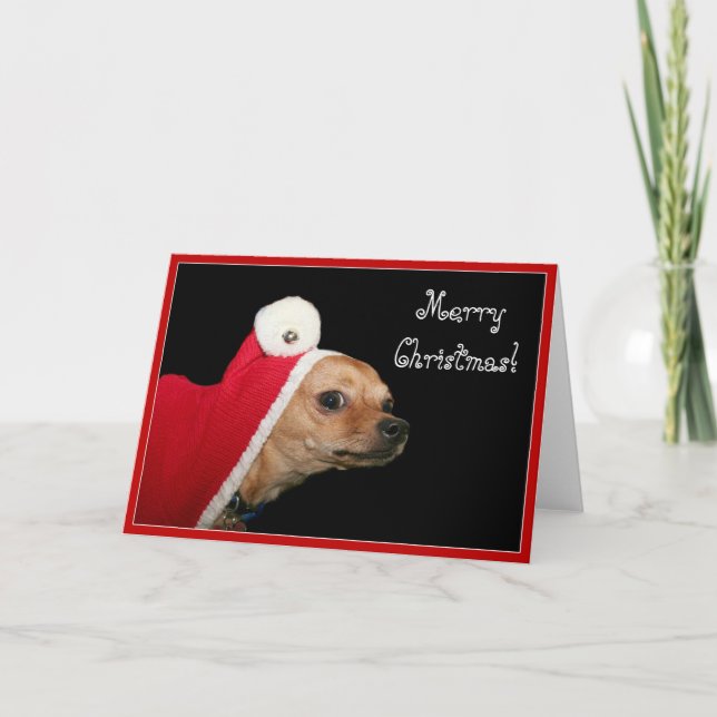 Merry Christmas Chihuahua greeting card (Front)