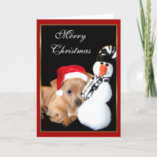 Merry Christmas Chihuahua greeting card