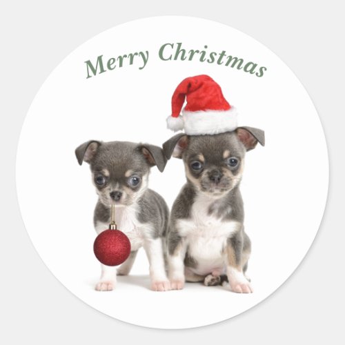 Merry Christmas Chihuahua Puppies Classic Round Sticker