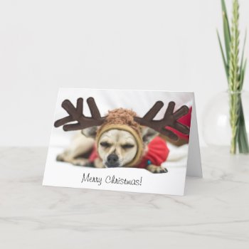 Merry Christmas Chihuahua Reindeer Holiday Card by TiaandFriends at Zazzle