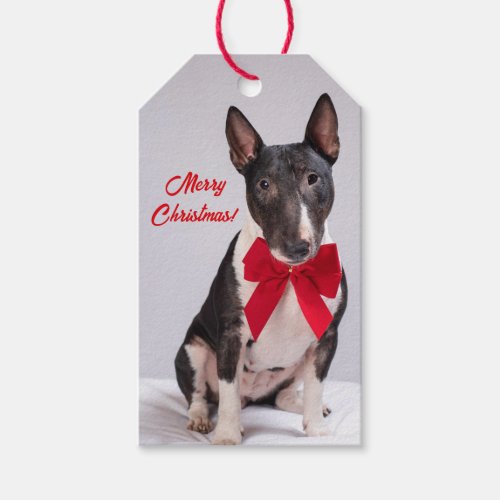 Merry Christmas Christmas Bull Terrier Dog Gift Tags
