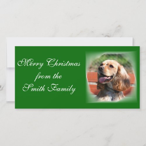 Merry Christmas Cocker Spaniel Photocard Holiday Card