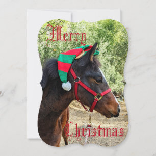 Merry Christmas Colt card