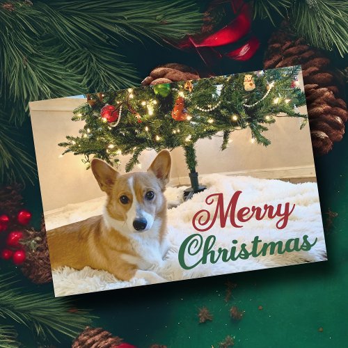 Merry Christmas Corgi Beautiful Dog Under Tree Holiday Card