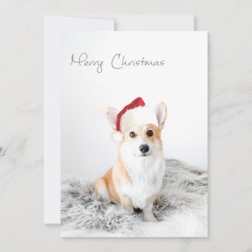 Merry Christmas Corgi Holiday Card