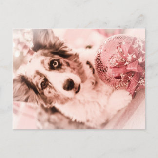 Merry Christmas Corgi Holiday Postcard