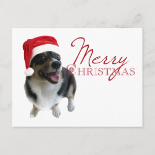 Merry Christmas Corgi Santa Holiday Postcard
