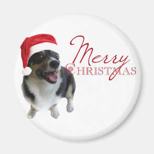 Merry Christmas Corgi Santa Magnet
