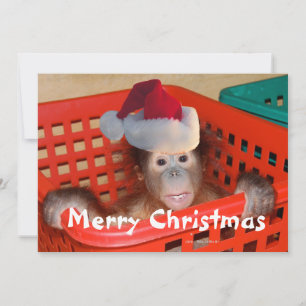 Merry Christmas Create your own message Invitation