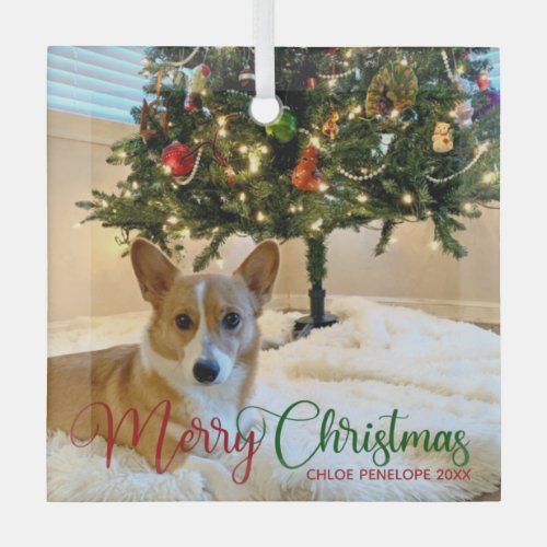 Merry Christmas Custom Pet Photo Beautiful Dog Glass Ornament