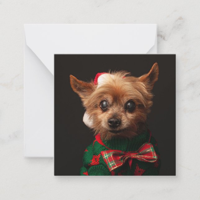 Merry Christmas custom pet photo simple sweet Note Card (Front)