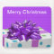 Merry Christmas Customizable