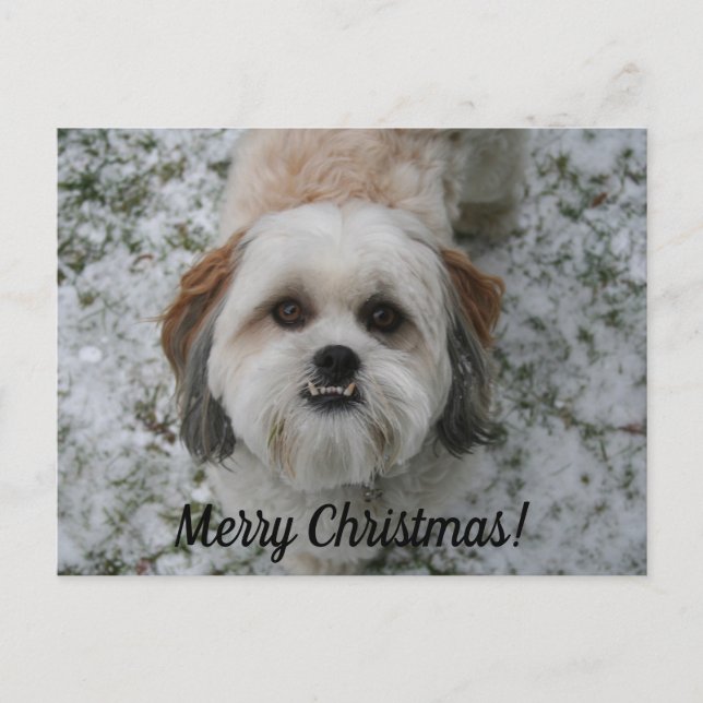 Merry Christmas Customizable Postcard (Front)