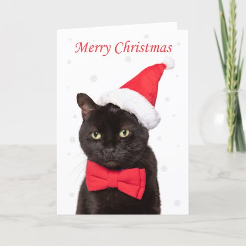 Merry Christmas Cute Cat in Santa Hat and Bow Tie Holiday Card