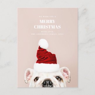 Merry Christmas. Cute dog. Animal Santa Claus Holiday Postcard